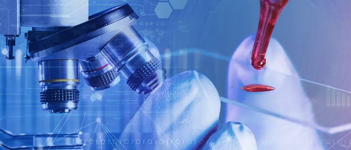 贝斯特全球奢华网络+银丰生物集团 打造科研创新“加速度”